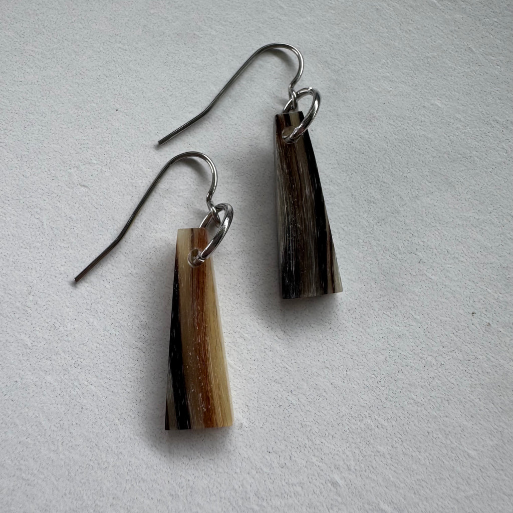 Hoʻākoakoa nā Ao x Ram Horn