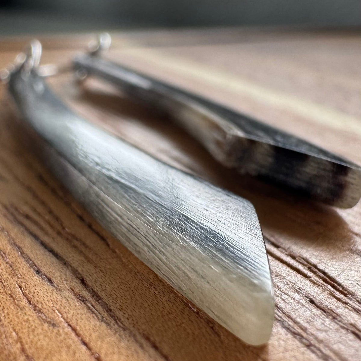 Hoʻākoakoa nā Ao x Ram Horn