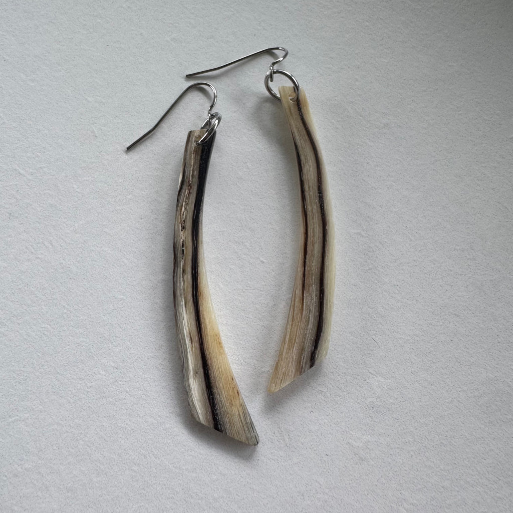 Hoʻākoakoa nā Ao x Ram Horn
